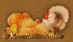 Por Karinoza45
