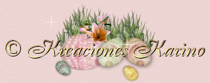 Dise�o tu Web