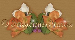 Dise�o Tu Sitio, Pagina Web
