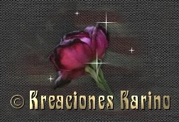 Dise�o tu Pagina Web