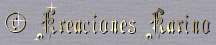 Dise�o tu Web